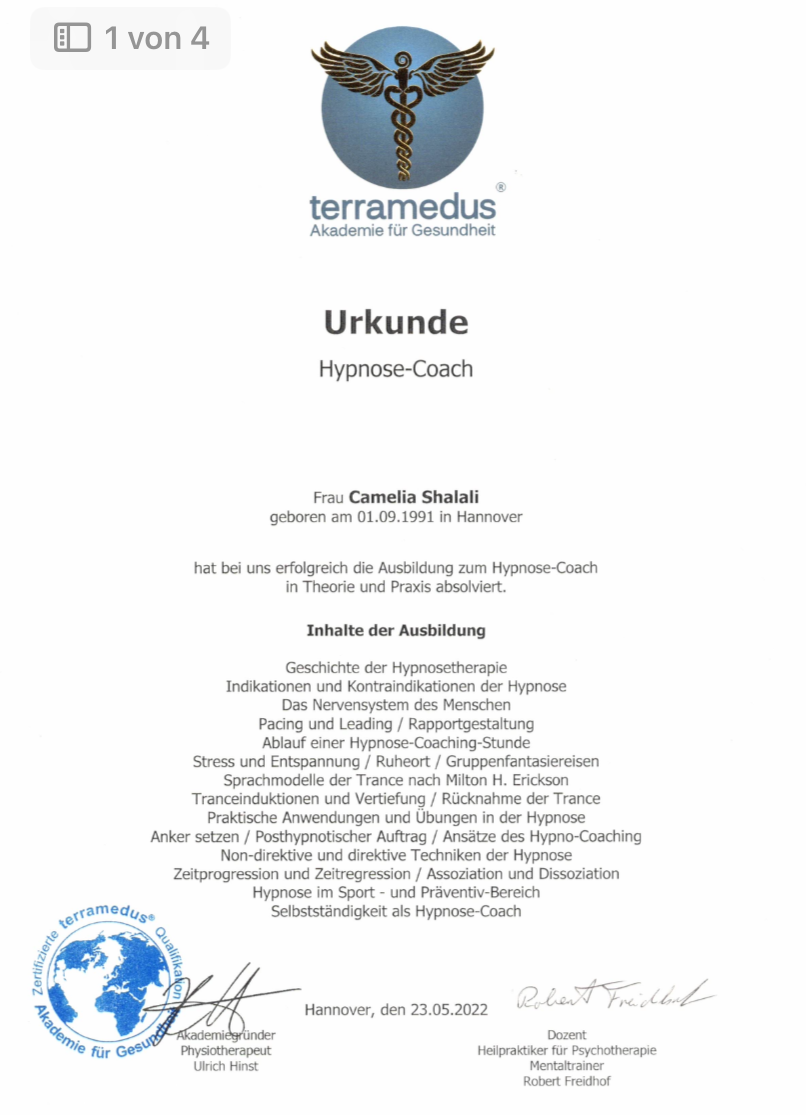 Zertifikat 4